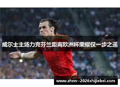 威尔士主场力克芬兰距离欧洲杯荣耀仅一步之遥